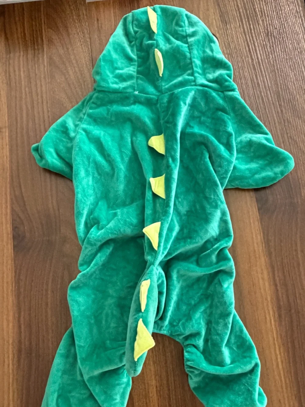 Dog Dinosaur Halloween Costume